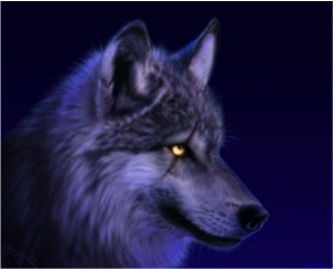 Apprivoiser son loup intérieur