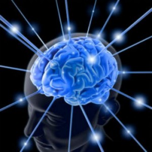 Le mystère des couleurs : Notre cerveau fabrique sa réalité