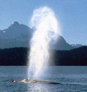 Le corps nous parle, sachons l&rsquo;écouter – 4 : Respirez !